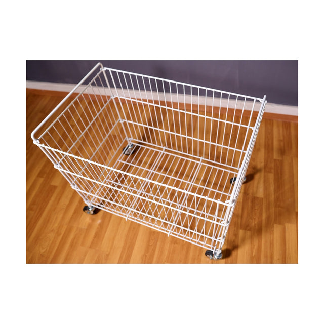 Cesta Antonio