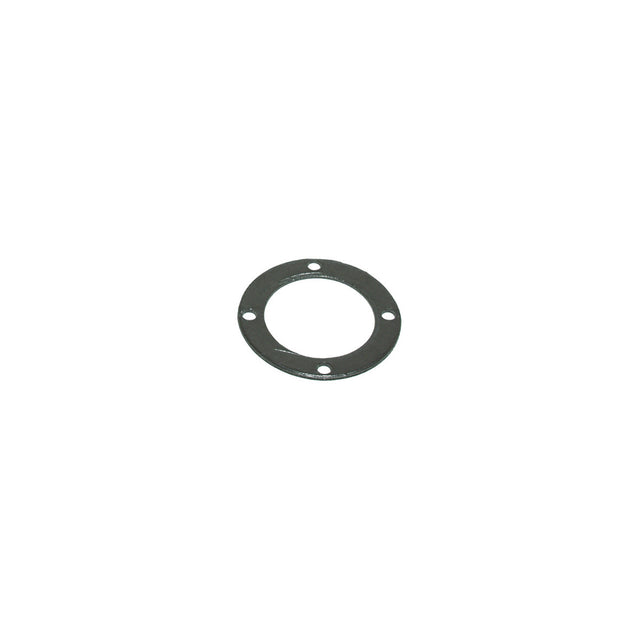 Graphite gasket resistance Ø=120 mm - 4 holes Ø=9 mm