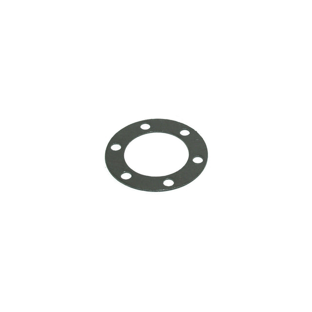 Graphite gasket resistance Ø=195 mm - 6 holes Ø=15 mm