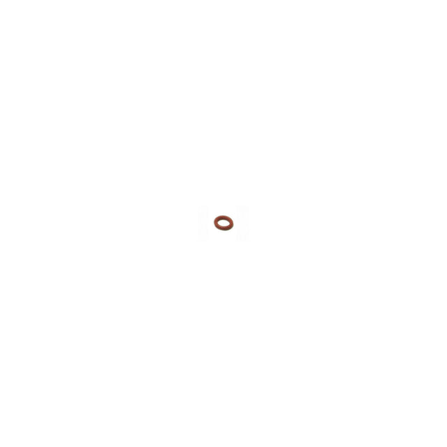 O-Ring 5 silicone steam valve